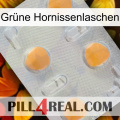 Grüne Hornissenlaschen 24